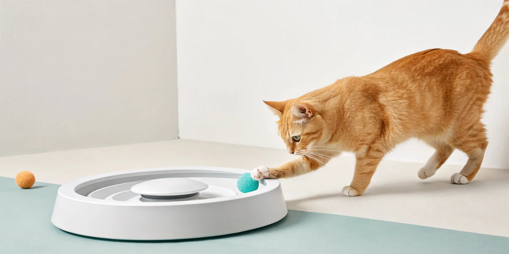 3 Types of Stimulating Cat Toys for Indoor Cats