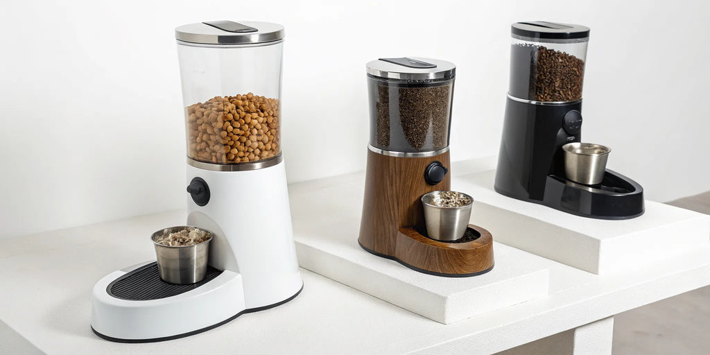 5 Best Automatic Dog Feeders for 2026 (Our Picks)