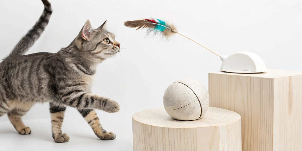 9 Best Cat Toys for Bored Cats That Actually Work