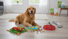 Best Dog Puzzle Toys for Mental Stimulation and Play