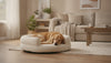 Calming Dog Bed: What to Know Before Buying
