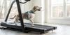 Is a Dog Treadmill the Right Choice for Your Pup?