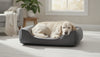 Orthopedic Dog Bed Guide: Support, Sizing and Care