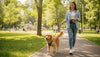 Retractable Dog Leash: Pros, Cons and Safety