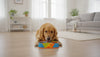 Slow Feeder Dog Bowl: A Practical Buying Guide