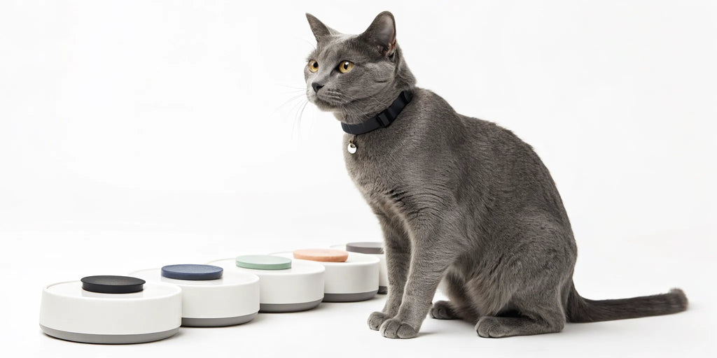 The 8 Best Cat Trackers for Peace of Mind
