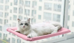 Cat  Window Hammock