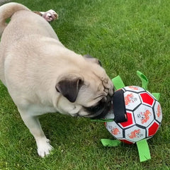 Dog Football Molar Bite-Resistant Toy