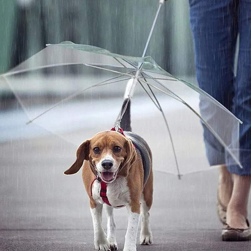 Puppy Raincoat With Dog Leash