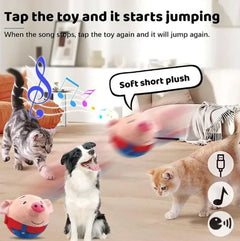 Interactive Squeaky Pet Toy