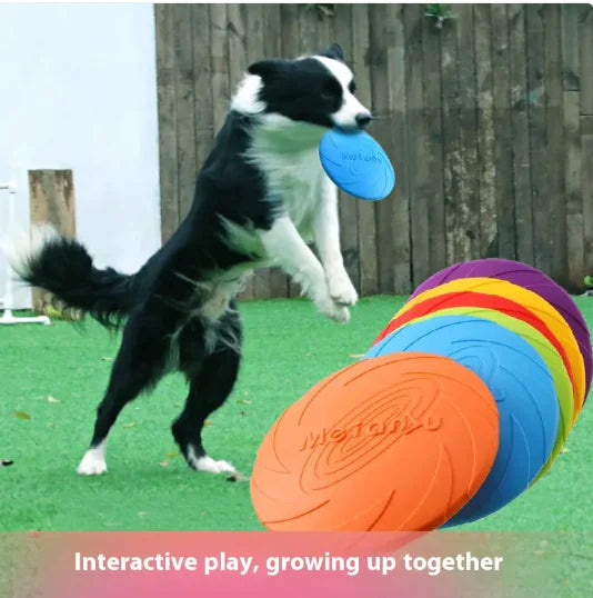 Rubber Dog Frisbee Outdoor Toy