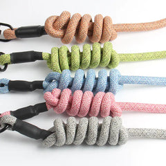 Pet Leash and Harness Set for Small Dogs