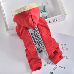 Windproof Coat for Dogs with Cut Wool Collar