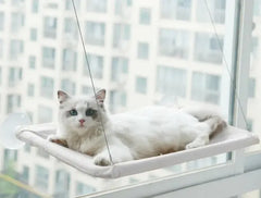 Cat  Window Hammock