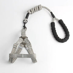 Pet Leash and Harness Set for Small Dogs