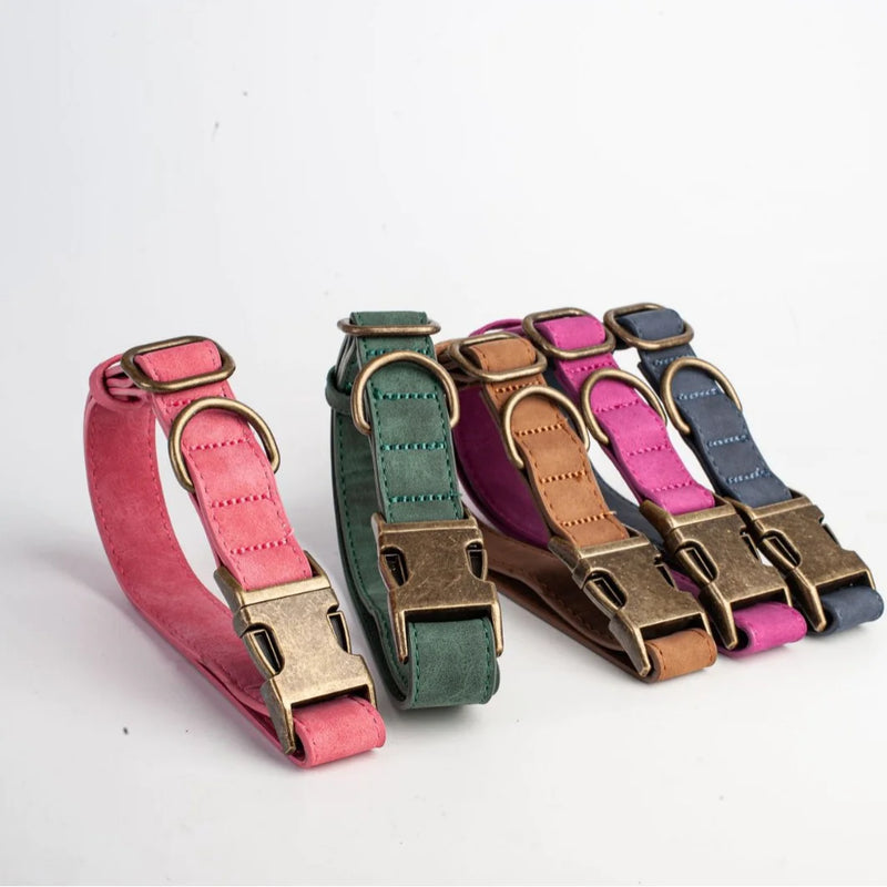 Comfortable Leather Engraved Pet Collar