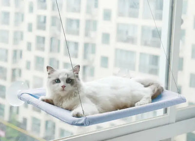 Cat  Window Hammock