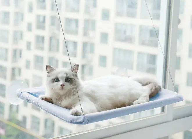 Cat  Window Hammock