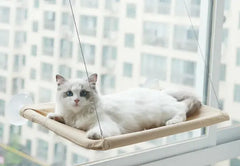 Cat  Window Hammock