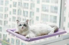 Cat  Window Hammock