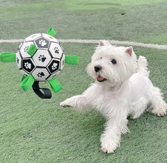 Dog Football Molar Bite-Resistant Toy