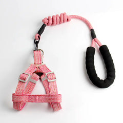 Pet Leash and Harness Set for Small Dogs