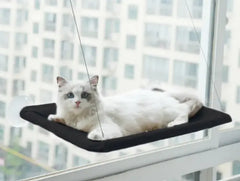 Cat  Window Hammock