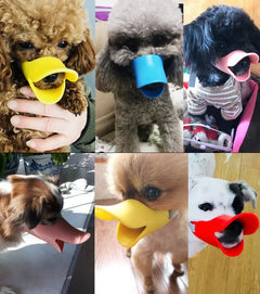 Dog Muzzle for Small Dogs - Anti-Barking and Chewing