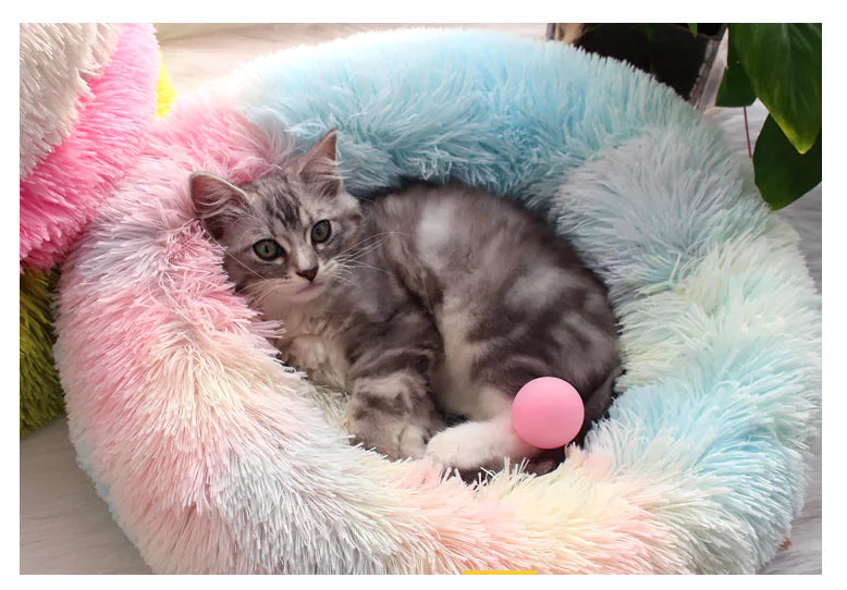 Unicorn Series Colorful Plush Pet Bed